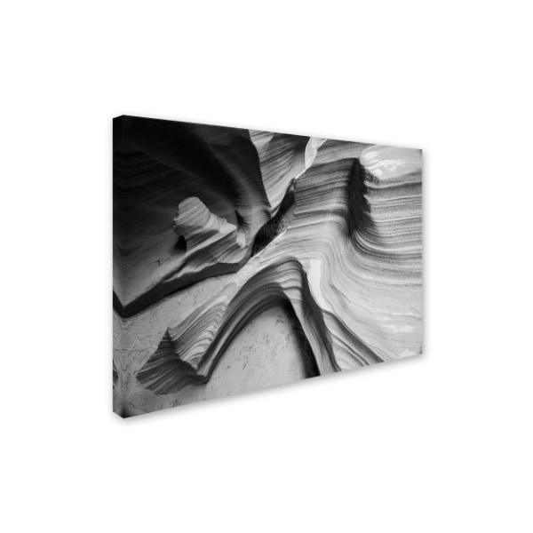 Moises Levy 'Snake Canyon' Canvas Art,30x47